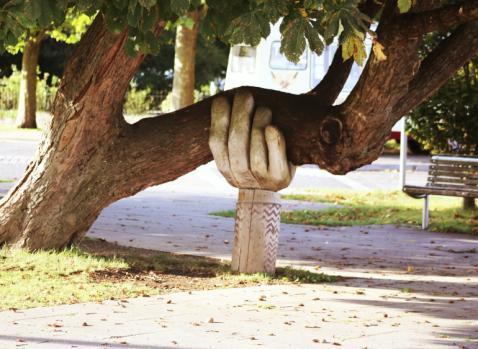 Photographie d'un arbre soutenu par une poutre en forme de main