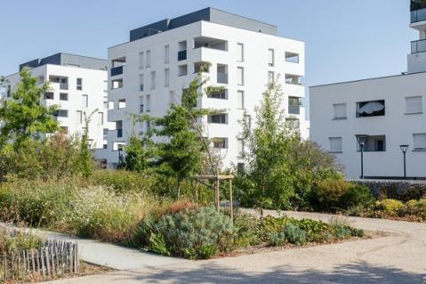Illustration de l'article Investissement outre-mer et réduction d’impôt : des délais à respecter