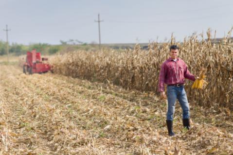 Illustration de l'article Installation d’un agriculteur : l’âge (ne) fait (pas) tout ?