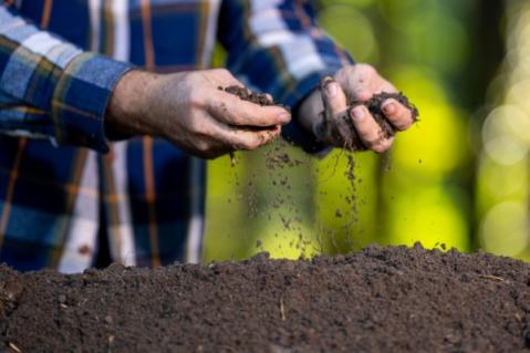 Illustration de l'article Produits fertilisants : une définition commune des usages