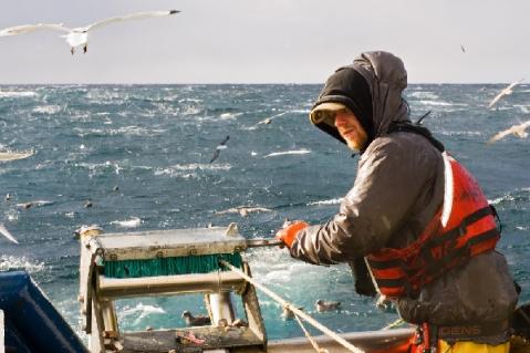 Illustration de l'article Vente de poissons destinés à la pêche : quel taux de TVA appliquer ?
