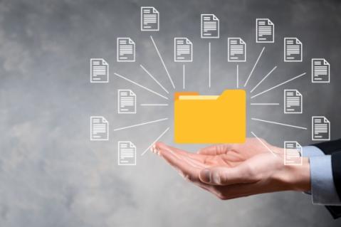 Illustration de l'article Rapports sur la durabilité et devoir de vigilance (CSRD et CS3D) : un allègement à venir ?