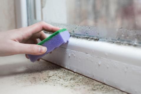 Illustration de l'article Vente immobilière : vers la création d’un diagnostic humidité ?