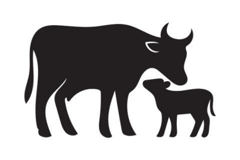 Illustration de l'article Secteur agricole : le point sur les aides en juin 2026