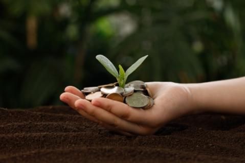Illustration de l'article Politique agricole commune : évolutions concernant l’éligibilité aux aides financières