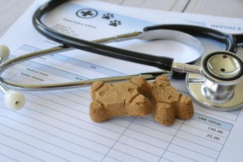 Illustration de l'article Frais de vétérinaires et d’alimentation animale : une révision de la TVA en vue pour les SPA ?