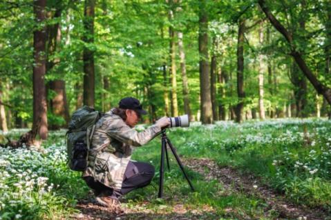 Illustration de l'article Photographe professionnel : attention au taux de TVA applicable !
