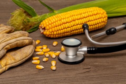Illustration de l'article Travailleurs agricoles : bientôt du nouveau en matière de suivi de l’état de santé !
