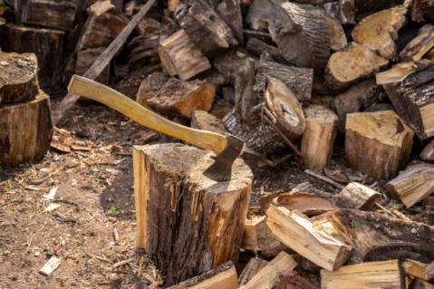 Illustration de l'article Régime fiscal des exploitations forestières : ça se précise pour le « forfait forestier » !