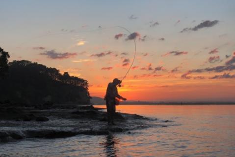 Illustration de l'article Pêche de loisir : un cadre pour les pêcheurs amateurs
