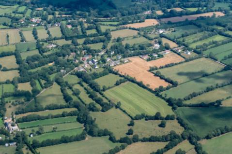 Illustration de l'article Un « Pacte en faveur de la haie » pour 2024