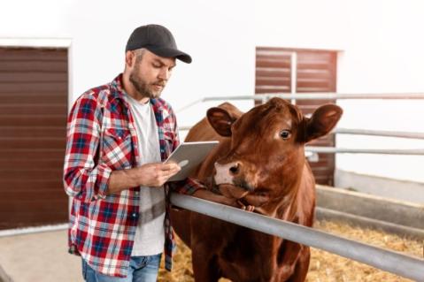 Illustration de l'article Agriculture : point sur la situation