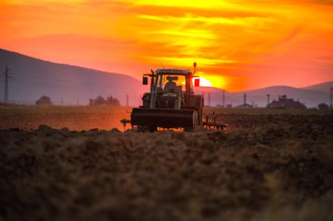 Illustration de l'article Politique agricole commune (PAC) : des précisions pour l’outre-mer