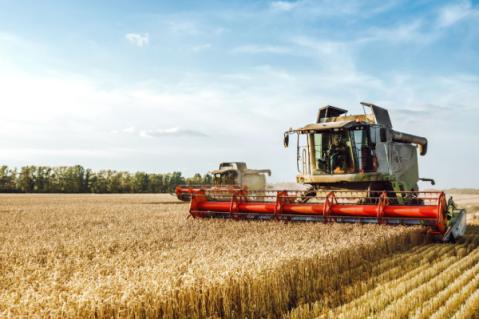 Illustration de l'article Vente d’entreprise agricole : le statut, ça compte !