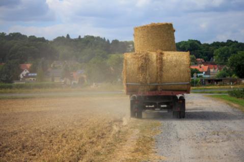 Illustration de l'article Bail rural et indemnité d’amélioration en fin de contrat : des précisions du juge