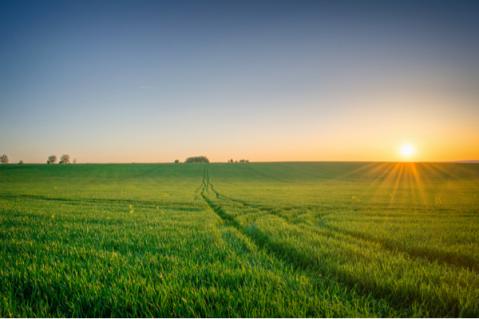 Illustration de l'article Zones agricoles : sont-elles réservées aux activités agricoles ?