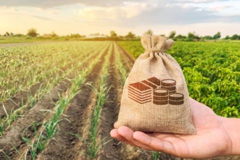 Illustration de l'article Jeunes agriculteurs : du nouveau du côté des exonérations sociales !