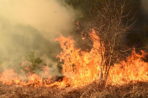 Illustration de l'article Prévention et lutte contre les incendies : renforcement de la réglementation