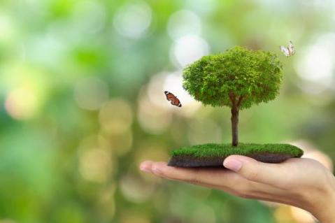 Illustration de l'article RSE : des nouveautés à venir !