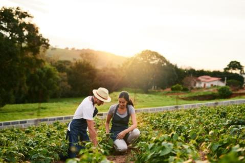 Illustration de l'article Ajustement de droits à paiement de base : quelques précisions pour les exploitants agricoles…