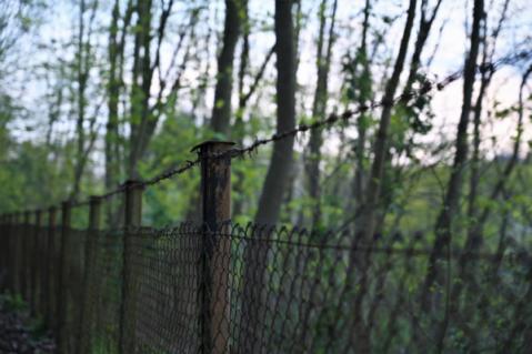 Illustration de l'article Espaces naturels et clôtures : de nouvelles mesures à connaître !
