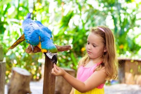 Illustration de l'article Parcs zoologiques : vers une fin du taux réduit de TVA ?