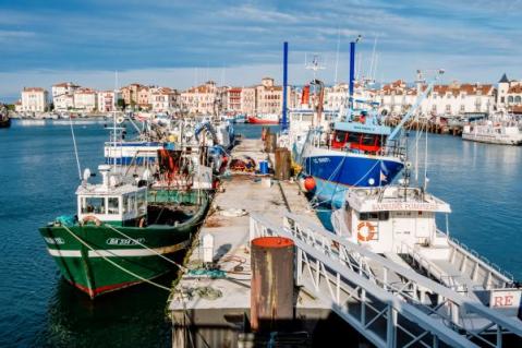Illustration de l'article Retour de pêche : des obligations déclaratives à respecter