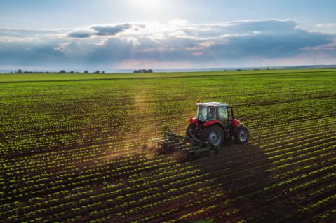 Illustration de l'article Artificialisation des terres agricoles : la faute à la pression fiscale ?