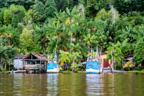 Illustration de l'article Guyane : un accord pour relancer la filière pêche
