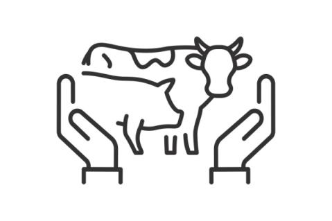 Illustration de l'article Agriculture : le point sur les mesures d’aide en septembre 2025