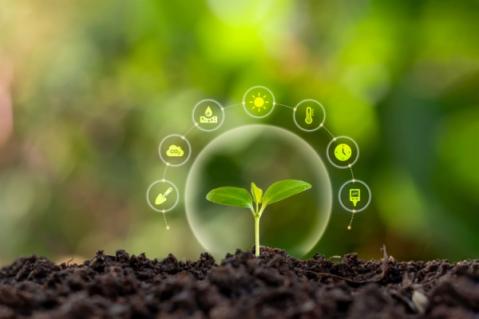 Illustration de l'article Mesures agroenvironnementales et climatiques : assouplissement de l’engagement