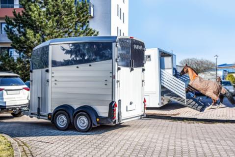 Illustration de l'article Véhicules dédiés au transport de chevaux : une déduction de TVA bien scellée !