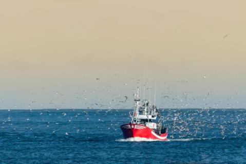 Illustration de l'article Pêcheurs : une nouvelle aide pour faire face à la flambée des prix de l’énergie