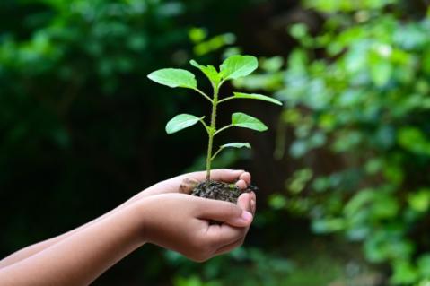 Illustration de l'article CSRD : comprendre pour mieux se préparer