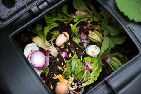 Illustration de l'article Tri des déchets alimentaires : la nouvelle obligation des particuliers