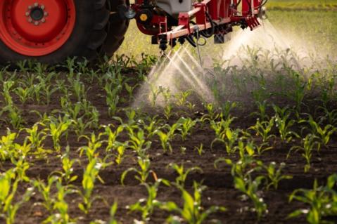 Illustration de l'article Certiphytos : nouvelle prolongation de la durée de validité