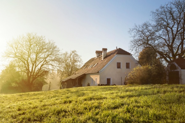 Illustration de l'article Bail rural : bien amélioré par le preneur = augmentation du fermage ?