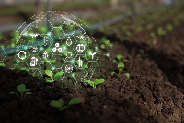 Illustration de l'article Agriculture : qui pilote la stratégie nationale d’installation et de transmission ?