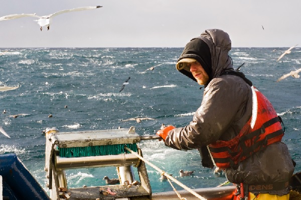 Illustration de l'article Vente de poissons destinés à la pêche : quel taux de TVA appliquer ?