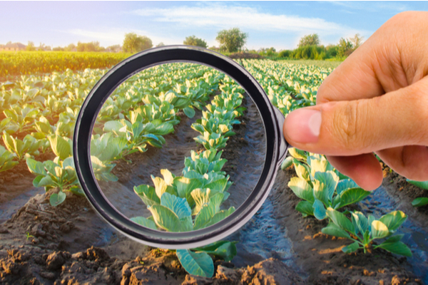 Illustration de l'article Plan de soutien aux industries agroalimentaires : que contient-il ?