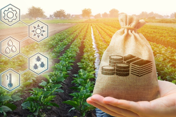 Illustration de l'article Agriculture à Saint-Pierre-et-Miquelon : une aide à l’installation possible