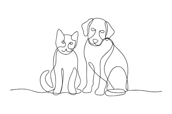 Illustration de l'article Activités liées aux animaux de compagnie : une réglementation partiellement décalée…