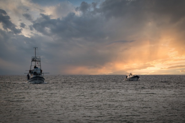 Illustration de l'article Licence de pêche européenne : rester actif pour conserver ses droits