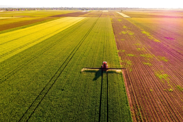 Illustration de l'article Perte de récolte des agriculteurs : des mesures de soutien annoncées