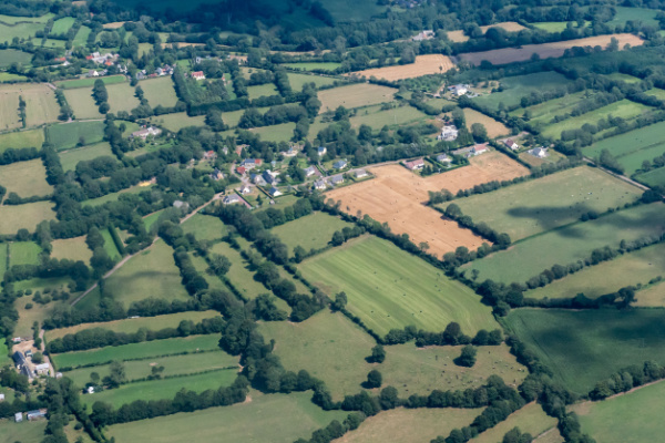 Illustration de l'article Un « Pacte en faveur de la haie » pour 2024