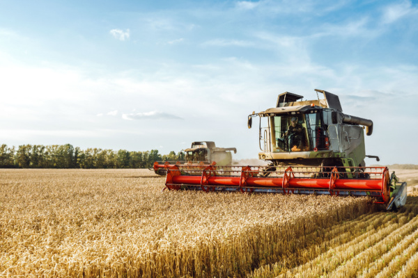 Illustration de l'article Vente d’entreprise agricole : le statut, ça compte !
