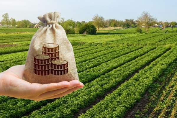 Illustration de l'article Impôts et taxes pour le secteur agricole : ce qui va changer en 2026