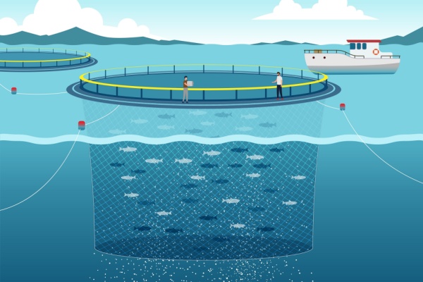 Illustration de l'article Pisciculture marine et concession d’exploitation : des critères à connaître