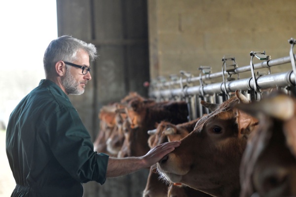 Illustration de l'article MHE : un délai supplémentaire pour demander ses aides