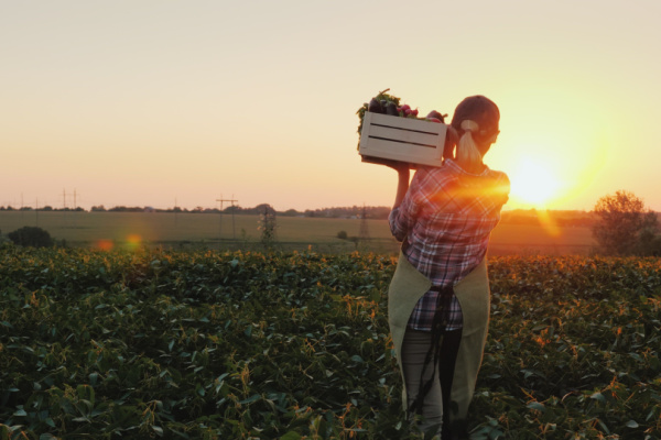 Illustration de l'article Agriculteurs : des évolutions juridiques à connaître
